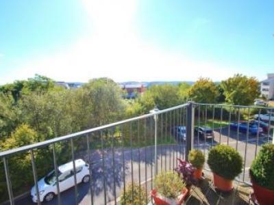 Annonce Location Appartement Bristol