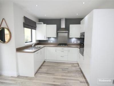 Annonce Location Maison Borehamwood