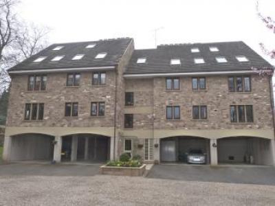 Annonce Location Appartement Harrogate