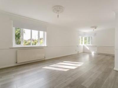 Annonce Location Appartement Beckenham