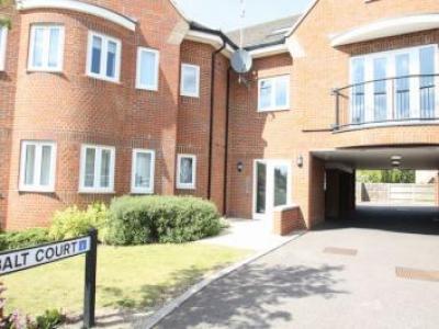 Annonce Location Appartement St-albans