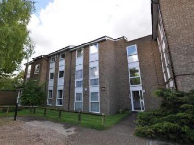 Annonce Location Appartement St-albans