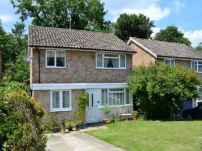 Annonce Location Maison Tunbridge-wells