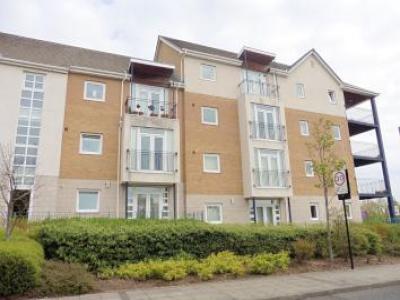 Annonce Location Appartement North-shields