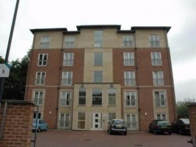 Annonce Location Appartement Derby