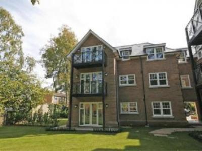 Louer Appartement West-byfleet rgion KINGSTON UPON THAMES