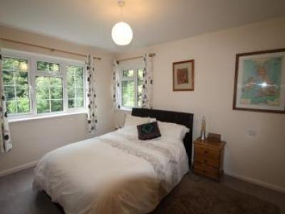 Louer Appartement Midhurst