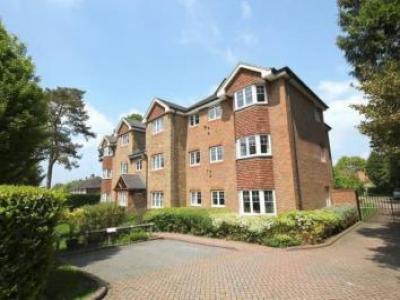 Annonce Location Appartement East-grinstead