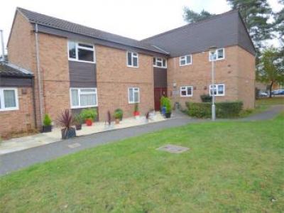 Annonce Location Appartement Bracknell