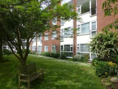 Annonce Location Appartement Southampton