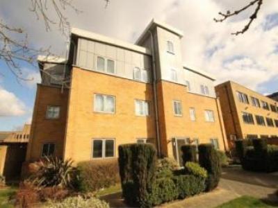 Louer Appartement Chelmsford