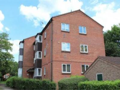 Annonce Location Appartement St-albans