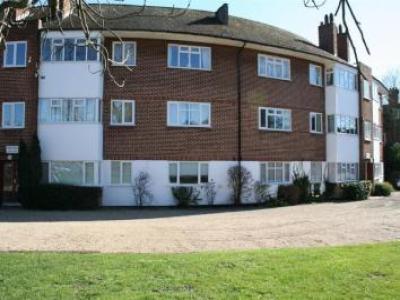 Annonce Location Appartement Maidenhead