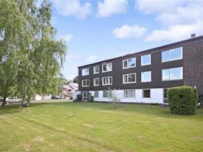 Annonce Location Appartement Cambridge