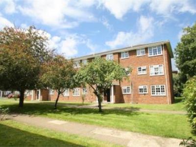 Annonce Location Appartement Staines