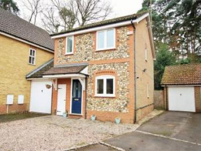 Annonce Location Maison Wokingham