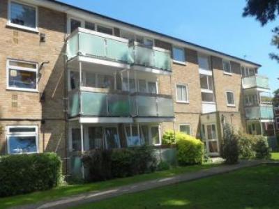 Annonce Location Appartement Enfield