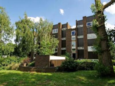 Annonce Location Appartement Twickenham