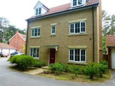 Annonce Location Maison Bury-st-edmunds