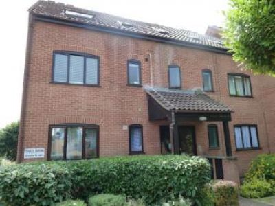 Annonce Location Appartement Norwich