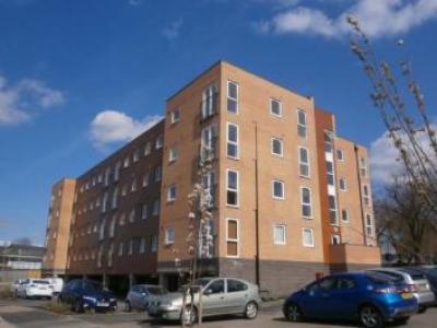 Annonce Location Appartement Leicester