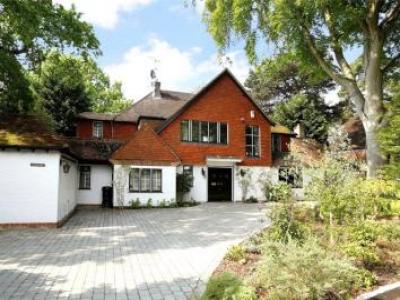 Annonce Location Maison Kingston-upon-thames