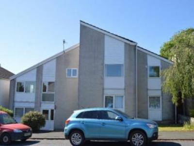 Annonce Location Appartement Lampeter