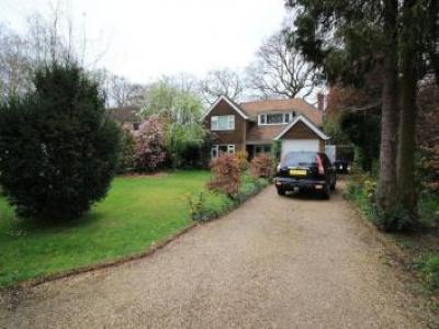 Annonce Location Maison West-byfleet