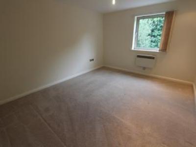 Annonce Location Appartement Sheffield