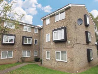 Annonce Location Appartement Hounslow