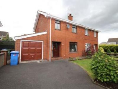 Annonce Location Maison Lisburn