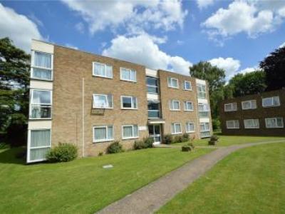 Annonce Location Appartement South-croydon