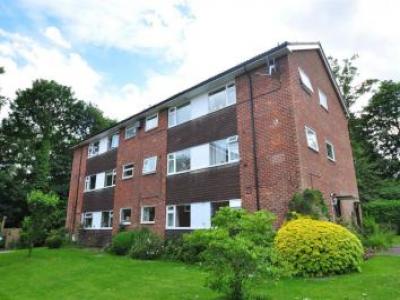 Annonce Location Appartement Maidenhead