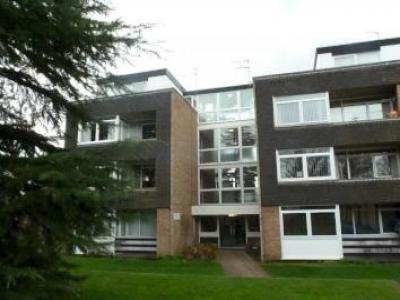 Annonce Location Appartement Norwich