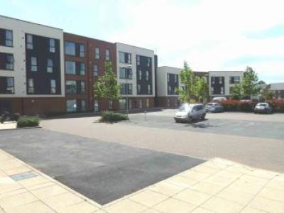 Annonce Location Appartement Coventry