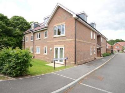 Annonce Location Appartement Bracknell