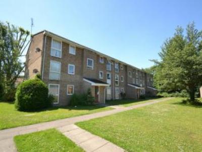 Annonce Location Appartement Horley