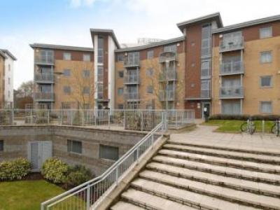 Louer Appartement Bracknell rgion READING