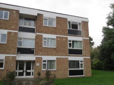 Annonce Location Appartement Gloucester