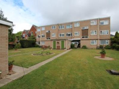 Annonce Location Appartement Southampton