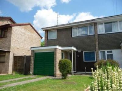 Annonce Location Maison Wokingham