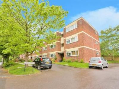 Annonce Location Appartement St-albans