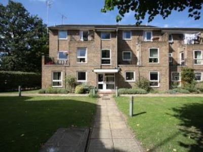 Annonce Location Appartement Twickenham