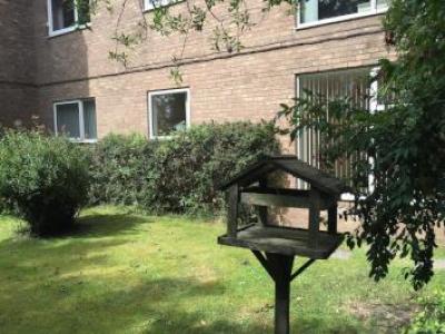 Annonce Location Appartement Whitley-bay