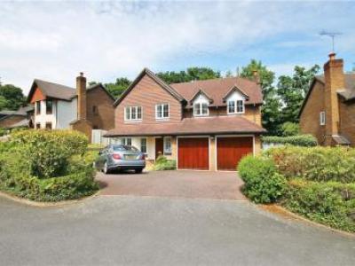 Annonce Location Maison Egham