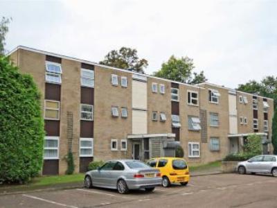 Annonce Location Appartement Isleworth