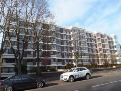 Annonce Location Appartement Hove