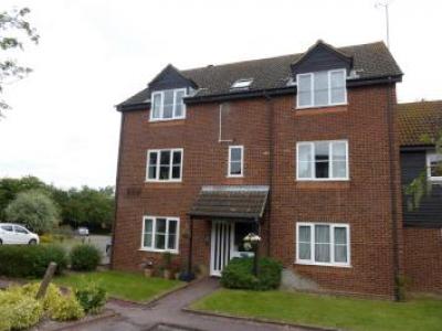 Annonce Location Appartement St-albans