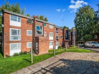 Annonce Location Appartement Hemel-hempstead