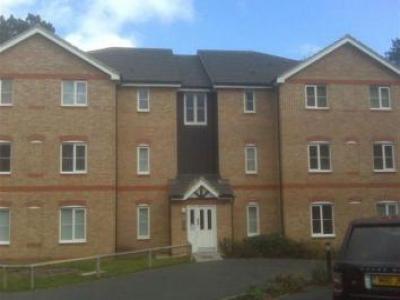 Annonce Location Appartement Daventry